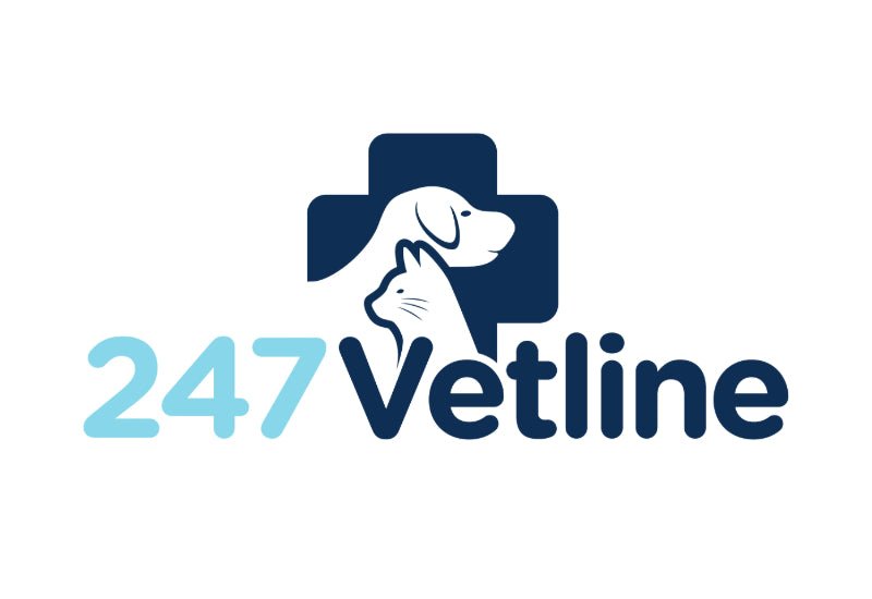 247VetLine: Online Video Vet Advice